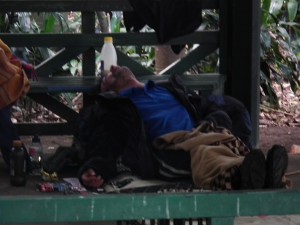 A homeless man asleep in the Brisbane City Botanical Gardens