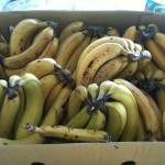Lots of healthy bannanas for fruit fast