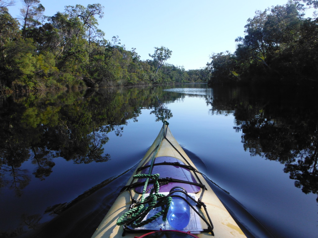 Kayak Noosa Everglades Queensland 